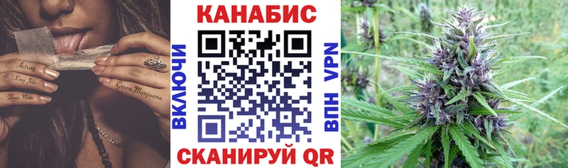 Бошки марихуана сатива где купить наркотик Невель